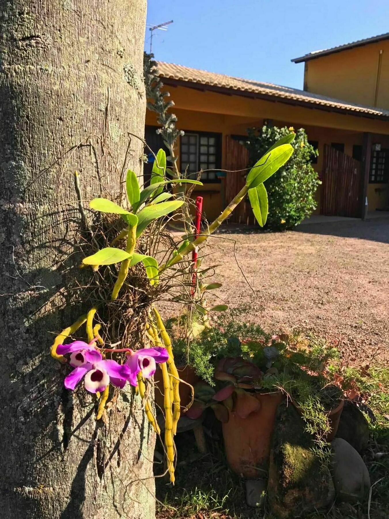 Pousada Habitat Marinho Imbituba  Bagian luar foto